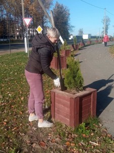 День озеленения