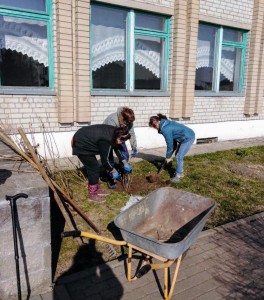 IMG-0bf67a35185795c53982bd64e47aa002-V