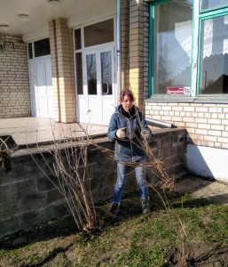 IMG-b71330f00cea2ab185ca31400c622c44-V