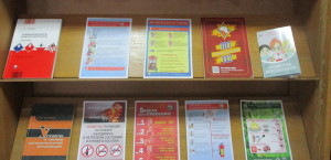 photofacefun_com_1549025156