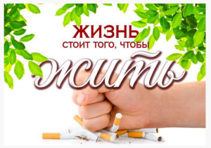 жизнь